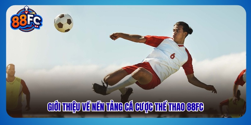 Giới thiệu về nền tảng cá cược thể thao 88fc