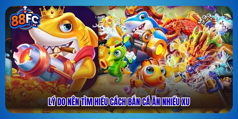 Lý do nên tìm hiểu cách bắn cá ăn nhiều xu